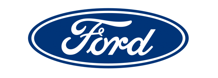 Ford bedrijfswagens